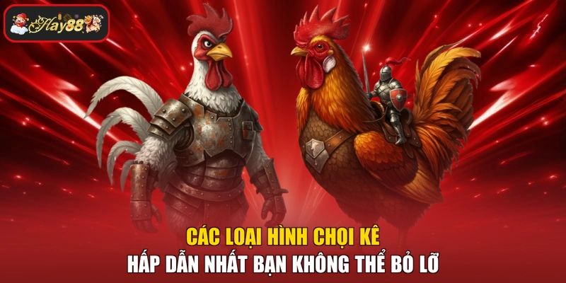 Các loại hình chọi kê hấp dẫn nhất bạn không thể bỏ lỡ