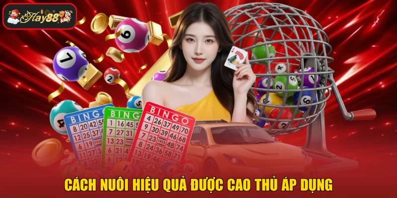 Cách nuôi hiệu quả được cao thủ áp dụng