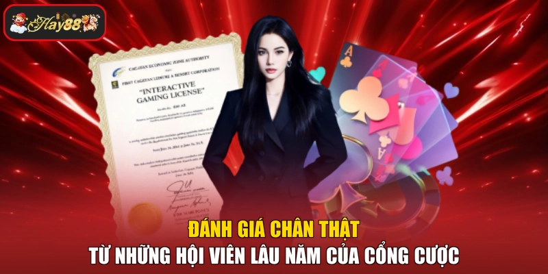 Đánh giá chân thật từ những hội viên lâu năm của cổng cược
