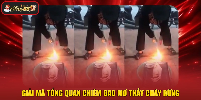 Giải mã tổng quan chiêm bao mơ thấy cháy rừng