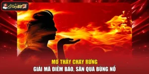 Mơ Thấy Cháy Rừng - Giải Mã Điềm Báo, Săn Quà Bùng Nổ