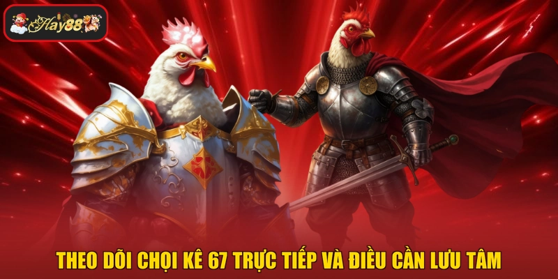 Theo dõi chọi kê 67 trực tiếp và điều cần lưu tâm